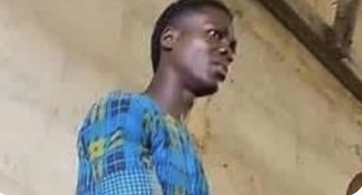 screenshot_20260220-1727406248772298362807050