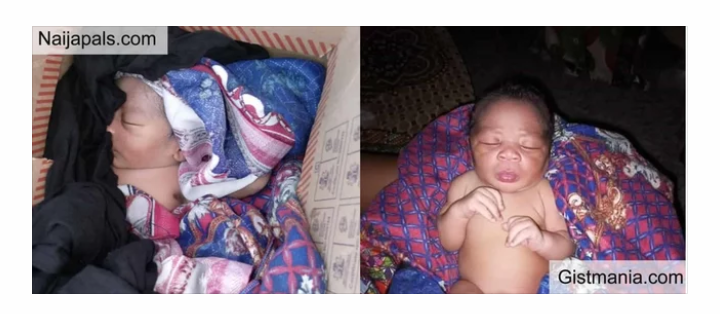 screenshot_20260406-1132341321319646704336191